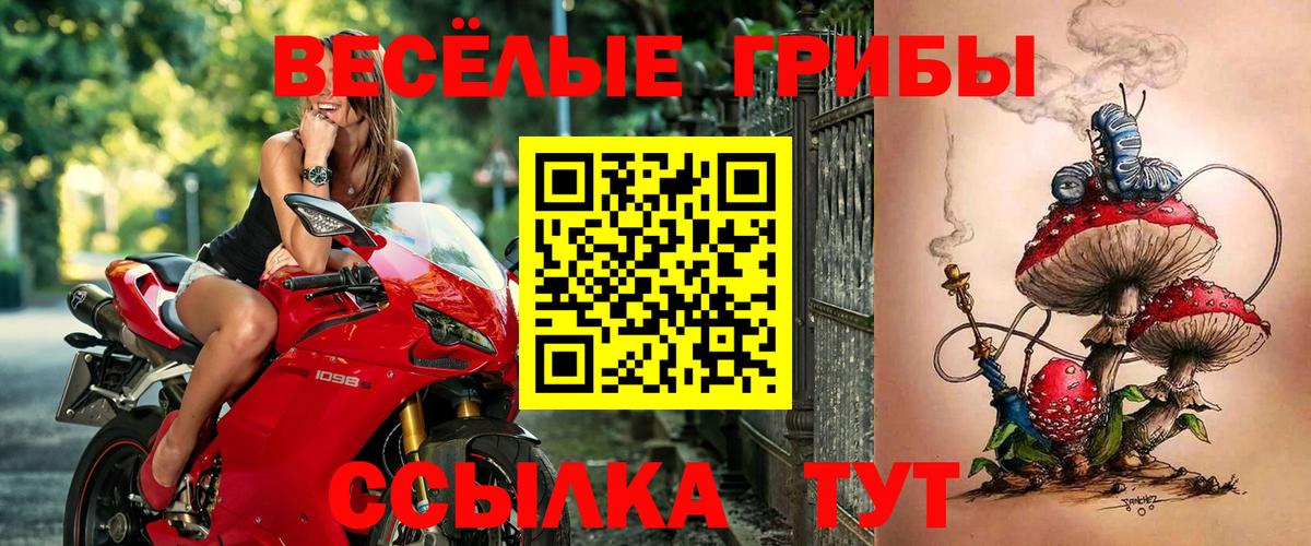 купить наркоту  Псилоцибиновые грибы ЛСД  Вход с VPN  Комсомольск-на-Амуре 