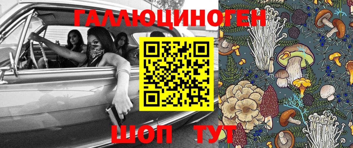 Псилоцибиновые грибы Psilocybe Комсомольск-на-Амуре